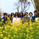 이원형 | 공저 이야기