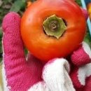 J놀이터 이미지