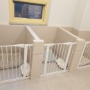 하이멍 애견미용 이미지