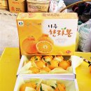 성제농장 뉴시스