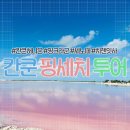 칸쿤 신혼여행, 너무 만족스러웠던 핑세치 투어(마이리얼트립 한결투어, 플라밍고, 12월 옷차림, 여행...