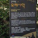 우이도 풍성사구(모래언덕) 네이버블로그