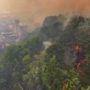 대구매천초등학교 이미지