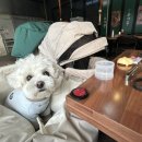 주걱집 | 평택 소사동 맛집 | 주걱집 평택본점 솔직 후기