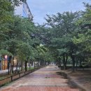 율하근린공원 이미지