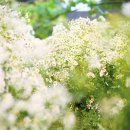 한율농원 이미지