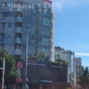 스킨앤이어동물병원 이미지