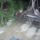 산골마당 이미지