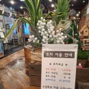 힘쎈 뽑기방 | 수원시청맛집 대형놀이방식당 권선동 소담화로