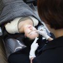 로이디자인