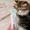 데일리동물병원 | 고양이짜먹는간식 데일리 바이츠 휴먼그레이드 고양이영양제 후기