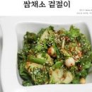 쌈채소겉절이 만드는법 맛있는 양념 비율 레시피 이미지