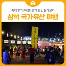 놀아줄개 | [축제 후기] 야(夜)밤에 한번 놀아보자! 2025 삼척 국가유산야행 둘째날 현장