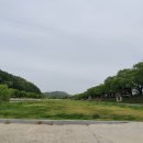 미원커피 이미지