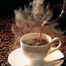 시절인연 이미지