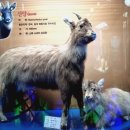 화진포 생태박물관 이미지