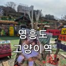 영흥로 | 영흥도 고양이역 솔직 후기ㅣ주차부터 입장권까지 다 알려드려요