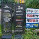 비아x거친새우들
