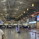 뉴스카이렌트카 | 오키나와 태교여행 4박5일 1일 차:오달렌터카, 쿄다휴게소, 오 외세스시, 힐튼세소코