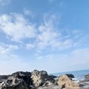 소금빌레