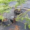 이삭농장 이미지