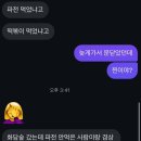 (화담숲) 2024 가을 화담숲 방문 후기