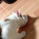 퍼펙트바이트 이미지