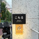 [신사/압구정] 코모루 - 사케에 진심이신 사장님의 안주 맛집 사케바 / 내돈내산 솔직후기