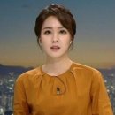 안나경 카카오 검색결과