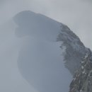 베르니아 이미지