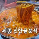 세종떡볶이 | 세종 신안골 분식 닭떡볶이 내돈내산 솔직후기 웨이팅 있음