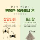 마이펫 부티크 이미지