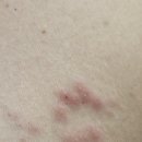 상동의원 이미지