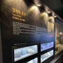 민속자연사박물관 | 제주공항과 가까운 아이와 갈만한 '민속자연사박물관' 후기!!