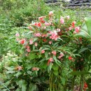 융릉ㆍ건릉 이미지