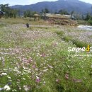 구곡농장 이미지