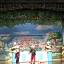 숲속나라 이미지