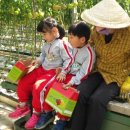 단계초등학교 병설유치원 이미지