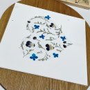 플로라제이 이미지