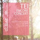 봄 설레임 콘서트 이미지