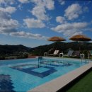 아름다운 애견 이미지