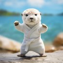 그린태권도 이미지