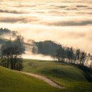 종만농장 이미지