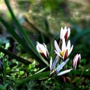 내면의 바다 이미지