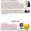 호야 달수 | 미리구입한 예비초등학생 가방/란도셀 천사의날개 책가방/pp1410로제