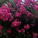 우정민박 이미지