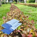 한림원 한약국 이미지