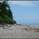 바다와소나무 이미지