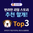 소망동물병원 이미지