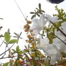 정수초등학교 이미지